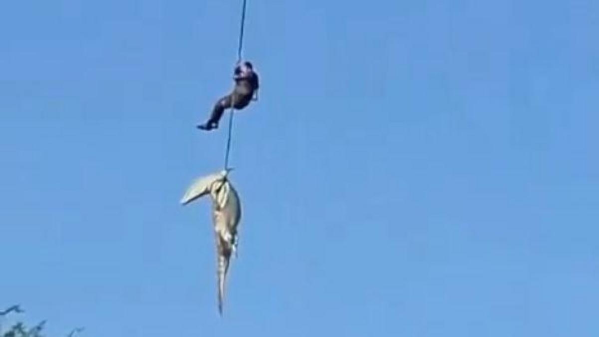 Police officer lowered into crocodile-infested river to recover human remains