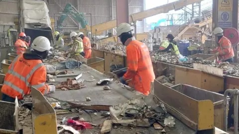 Robots move in as waste firms struggle to find staff - foto 2