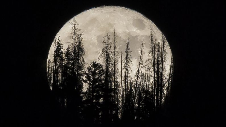Brightest supermoon since 1948 - foto 4