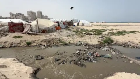 'If we sleep, they bite': Rats and weasels infest camps for displaced Gazans - foto 5
