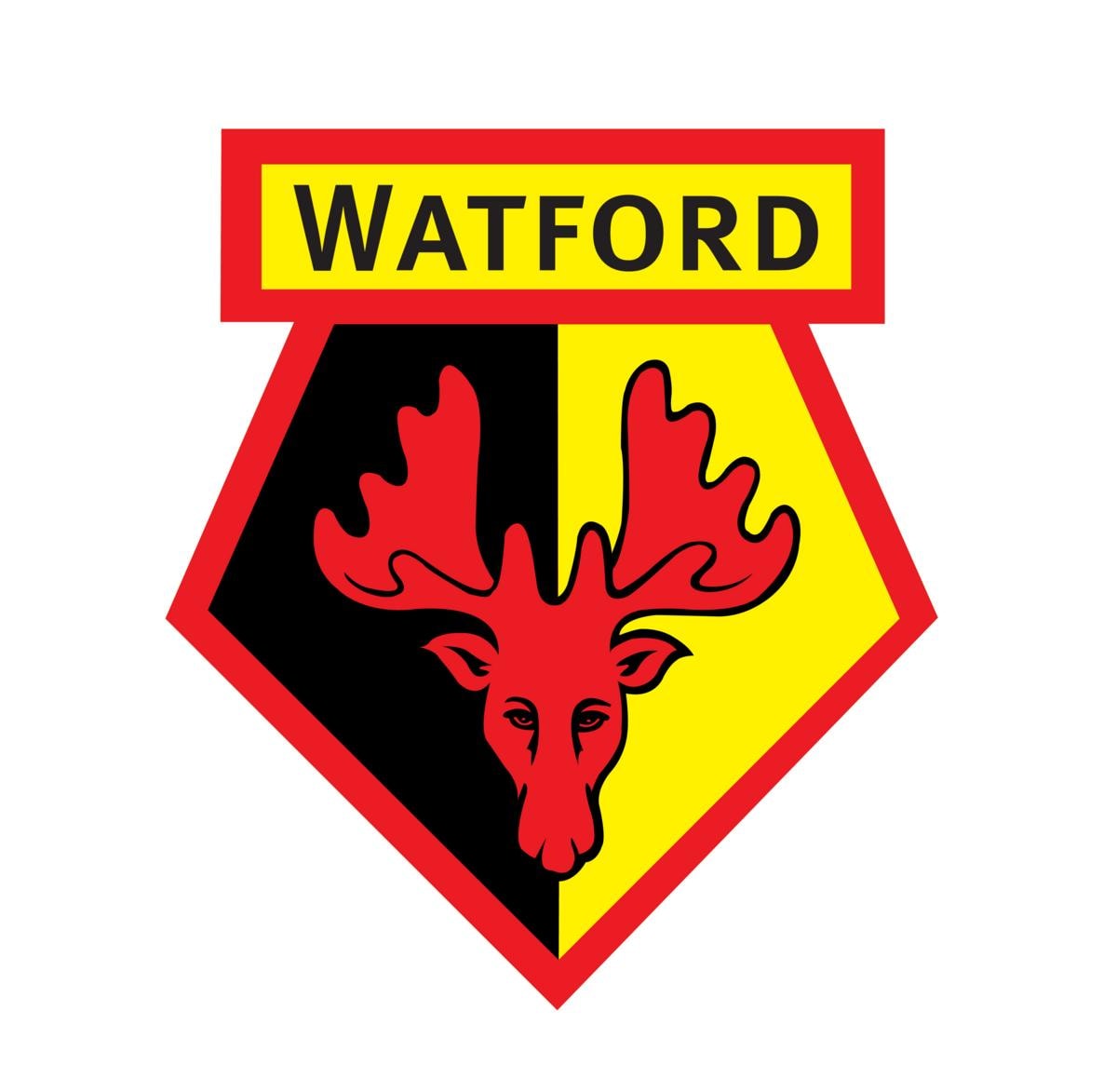 Watford sack boss Still after less than three months - foto 3